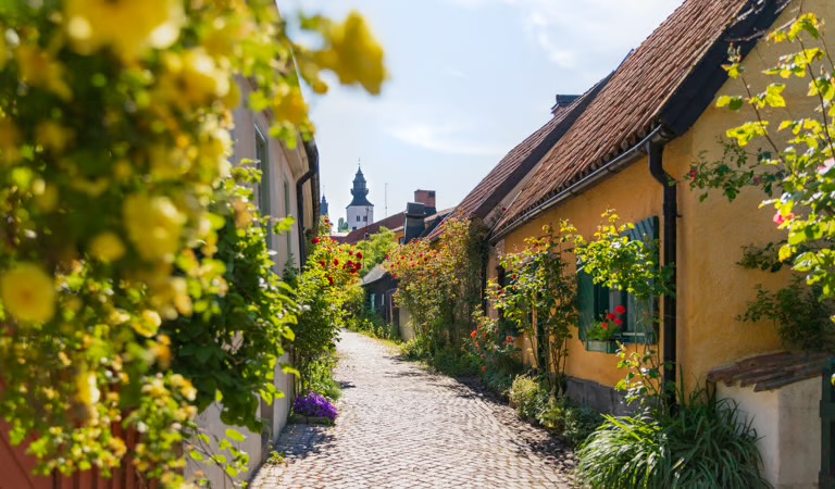 Kullerstensgränd i Visby med rosor och kalkstenshus
